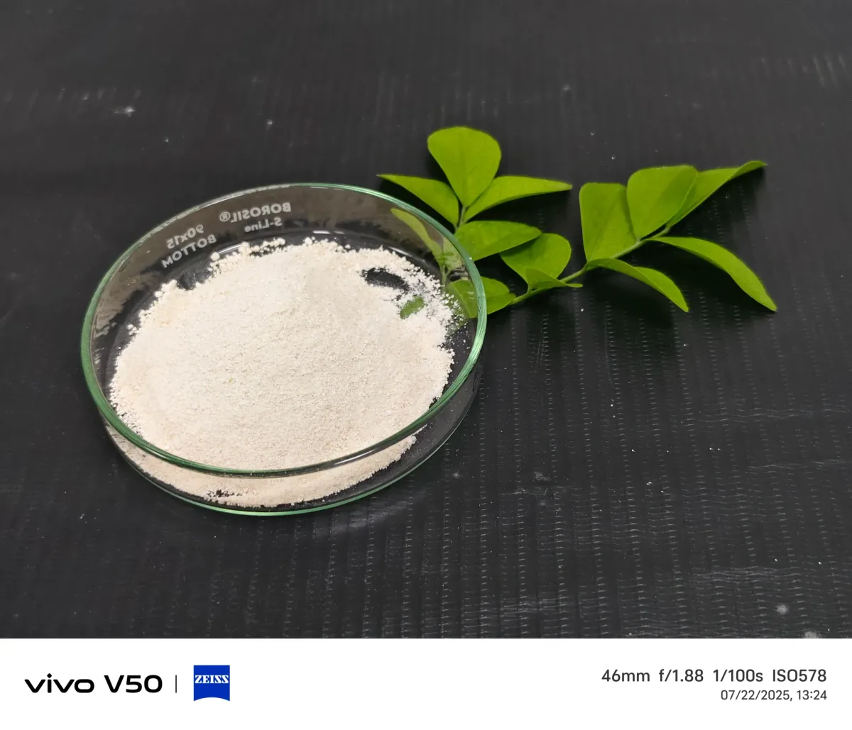 Toward a Sustainable Future: Biofiber